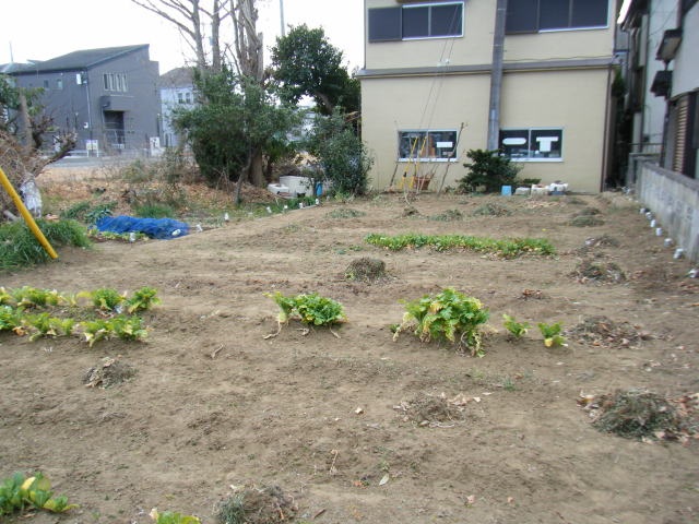 土地,千葉市,花見川区,実籾駅,八千代台駅,不動産
